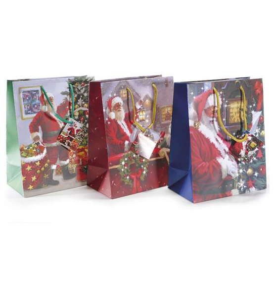 30Pz Sacchetti buste regalo natalizi in carta cm18x10x22,5H (c/manici30)